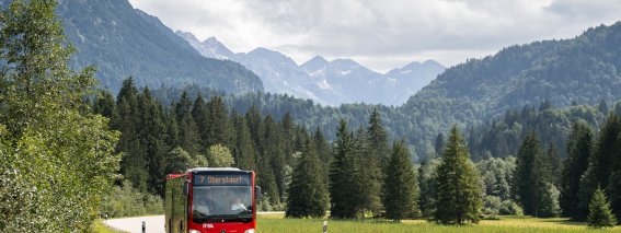 Bus am Karatsbichl