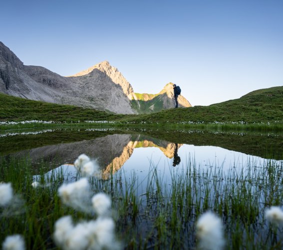 Wollgras am Rappensee