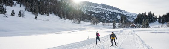 Zu zweit auf der Loipe