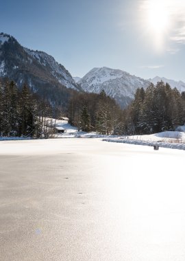 Der Moorweiher im Winter