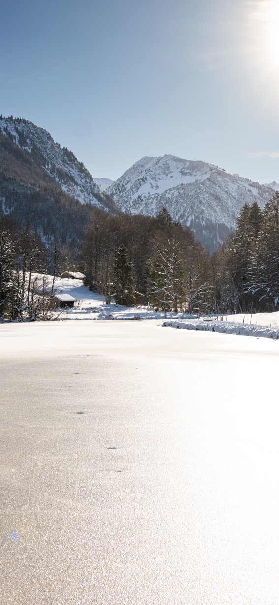 Der Moorweiher im Winter
