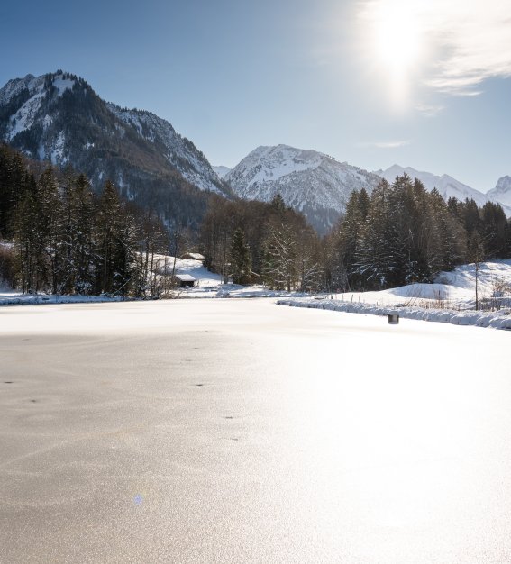 Der Moorweiher im Winter