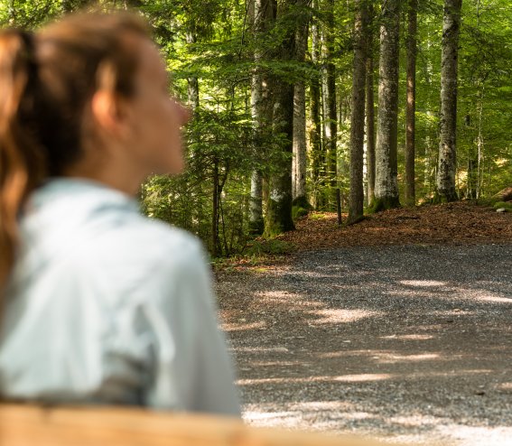 Glücksort Breitachklamm