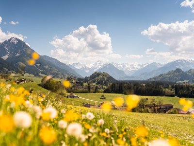 Blick in die Oberstdorfer Berge