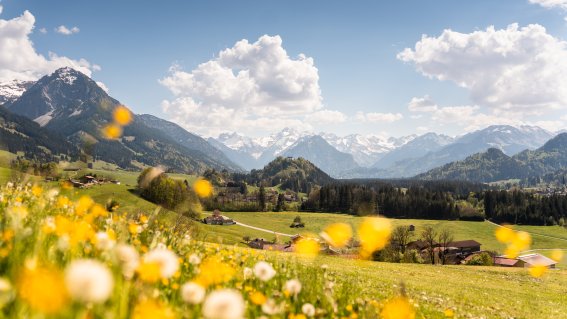 Blick in die Oberstdorfer Berge