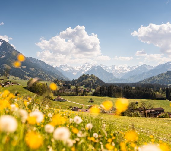 Blick in die Oberstdorfer Berge