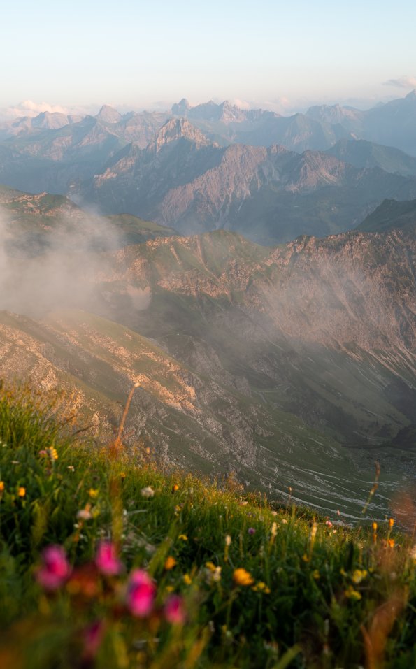 Nebelhorn Sonnenuntergang