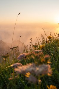 Sonnenuntergang in den Bergen
