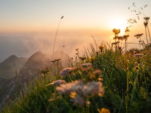 Sonnenuntergang in den Bergen