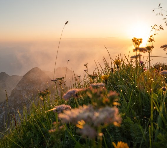 Sonnenuntergang in den Bergen