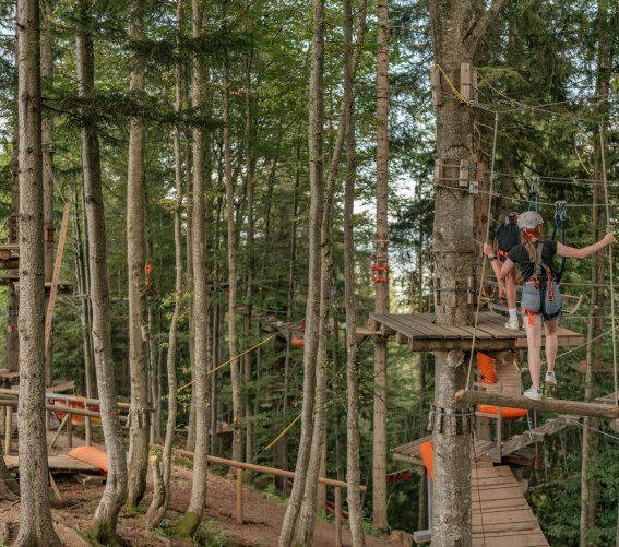 Kletterwald Elemente