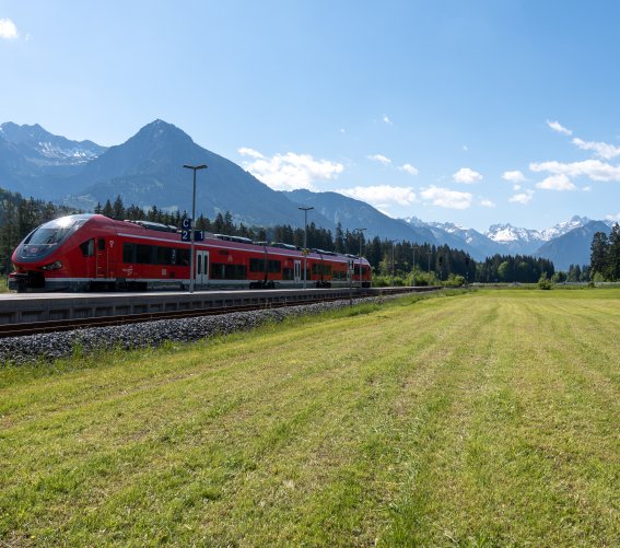 Zug vor den Bergen