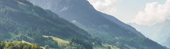 Blick auf Schöllang