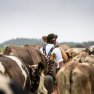 Hirte in Mitten von Schumpen