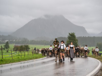 Kranzrind auf dem Weg nach Oberstdorf