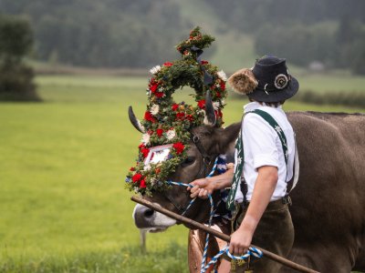Kranzrind beim Viehscheid