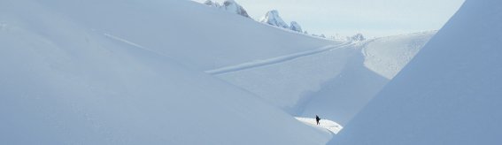 Auf dem Zeigersattel