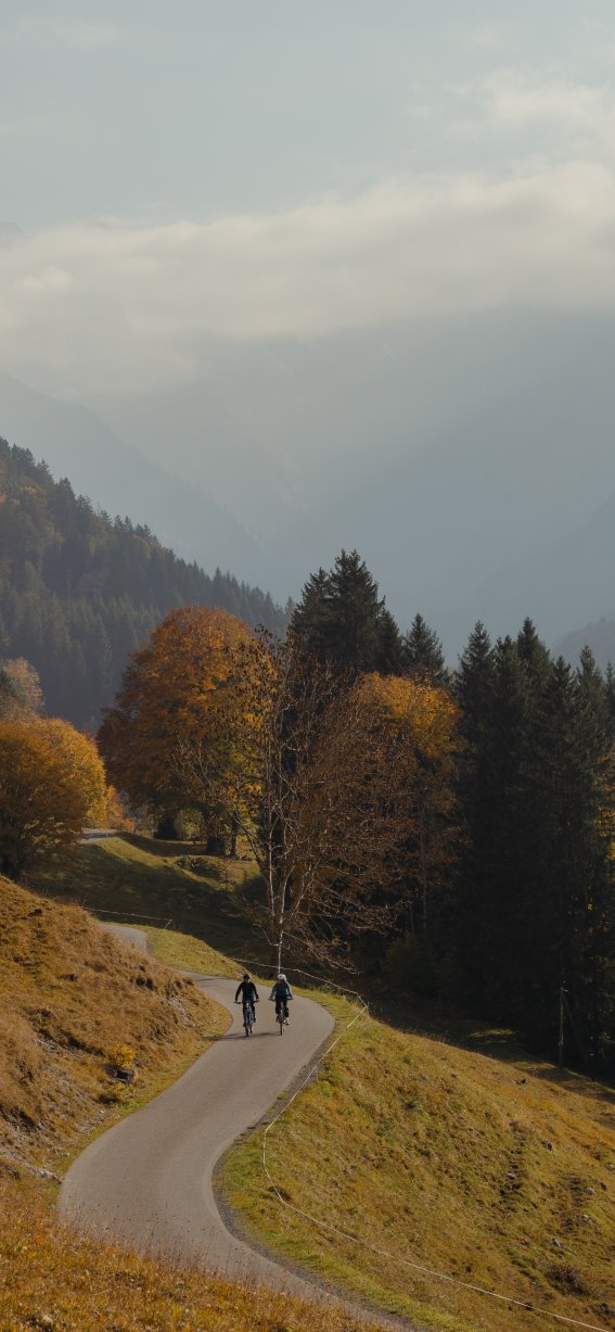 Radeln mit Weitblick