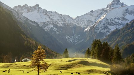 Trettachtal Richtung Gerstruben