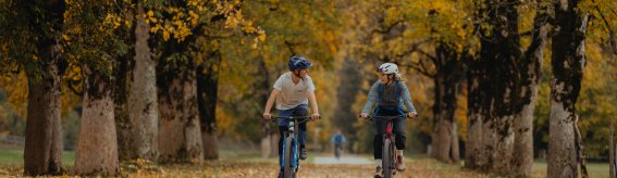 Radfahren unter bunten Bäumen