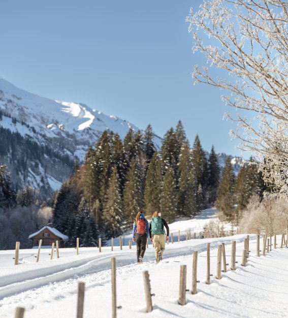Spazieren durch den Schnee