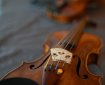 Meisterkurse beim Musiksommer