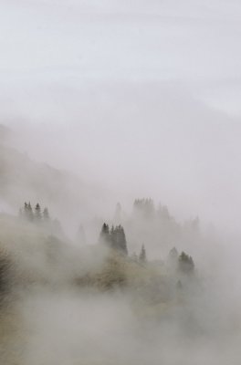 Nebel auf dem Nebelhorn