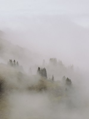 Nebel auf dem Nebelhorn