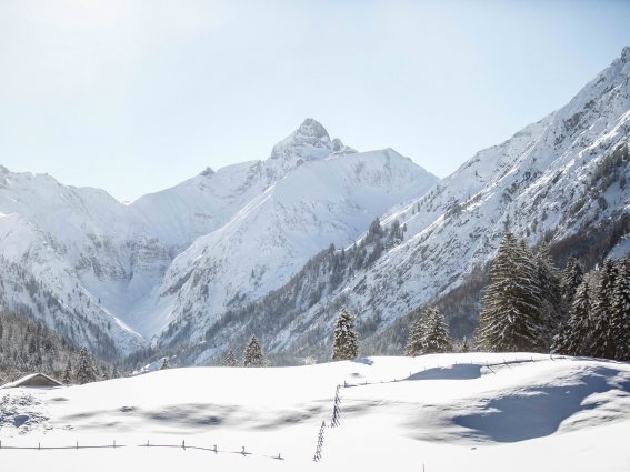 Winterlandschaft