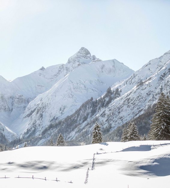 Winterlandschaft
