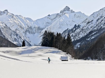 Bergpanorama mit Langläuferin