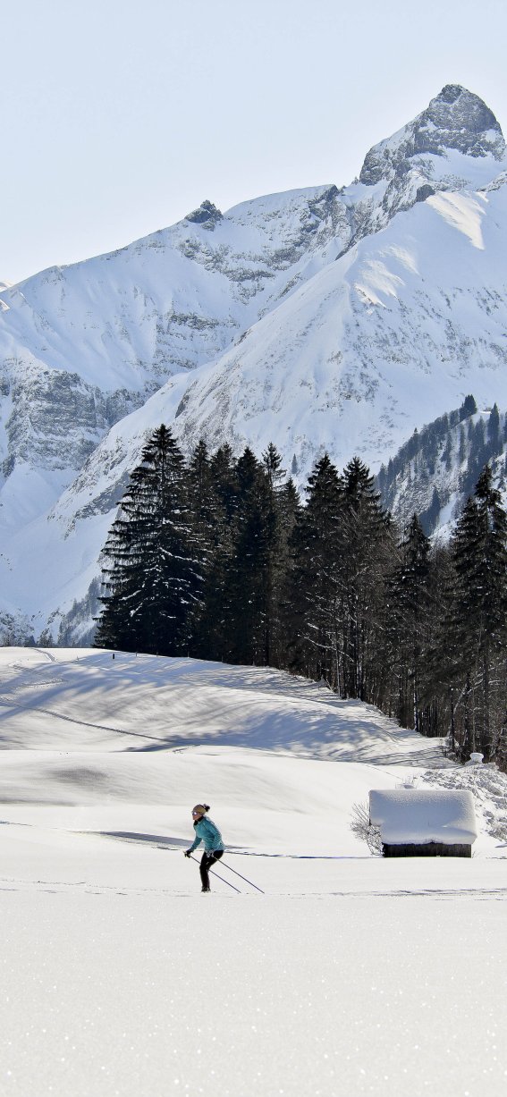 Bergpanorama mit Langläuferin