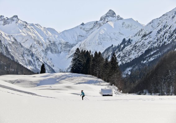 Bergpanorama mit Langläuferin