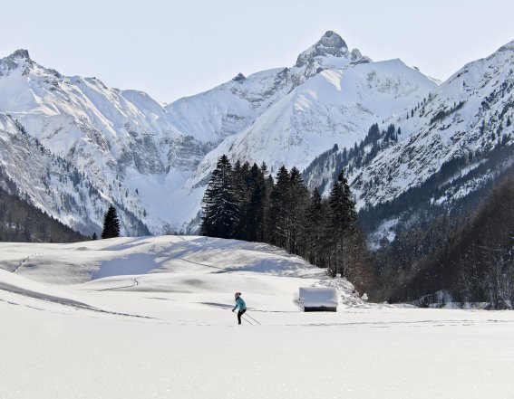 Bergpanorama mit Langläuferin Bergpanorama mit Langläuferin