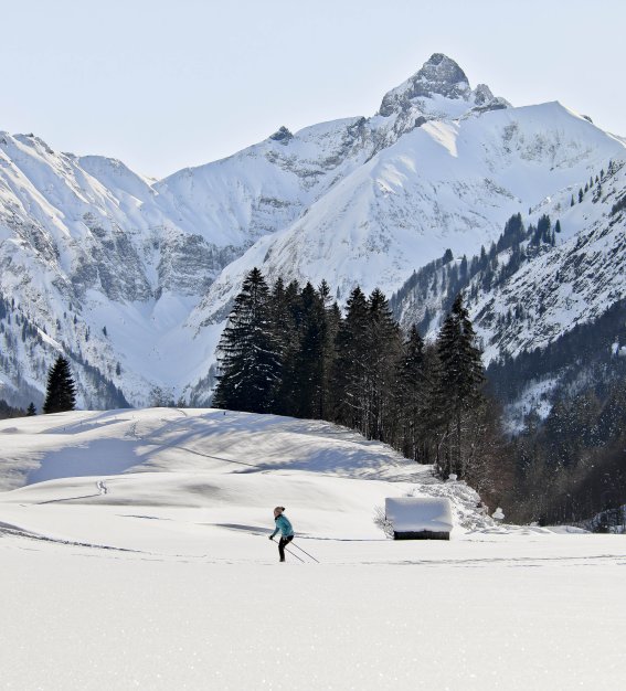 Bergpanorama mit Langläuferin