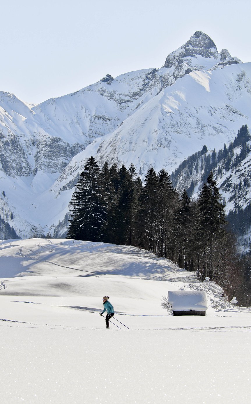 Bergpanorama mit Langläuferin