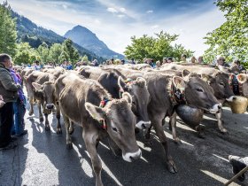 Viehscheid Schöllang