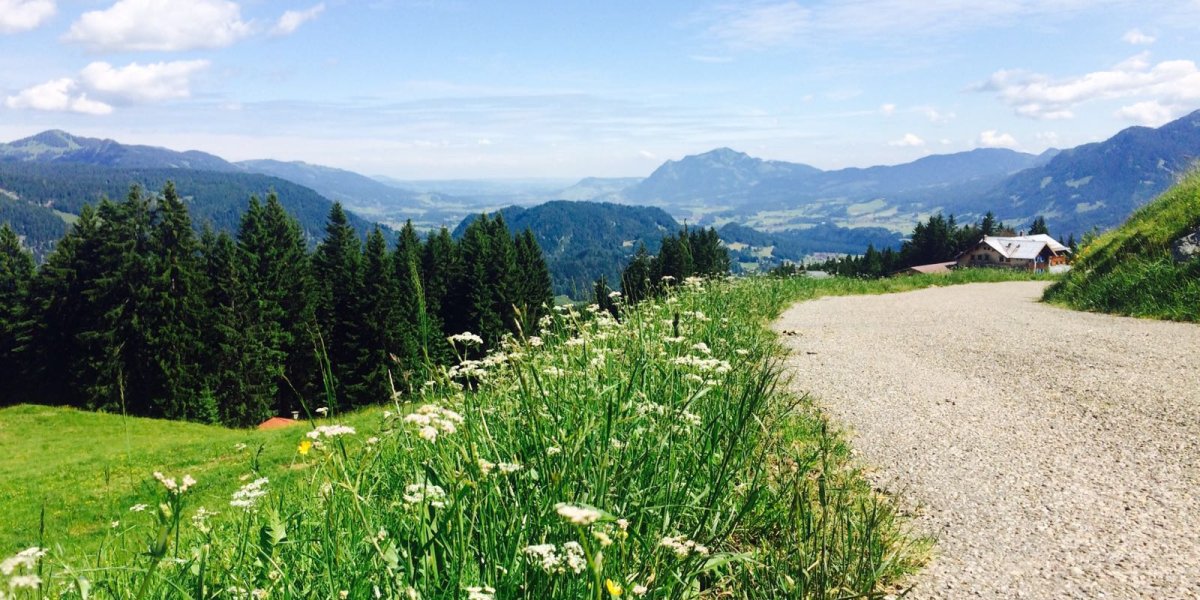 Wanderweg am Söllereck