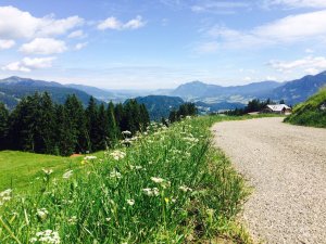 Wanderweg am Söllereck