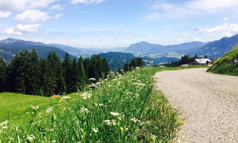 Wanderweg am Söllereck