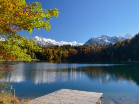 Freibergsee im Herbst