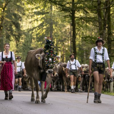 Viehscheid 2016