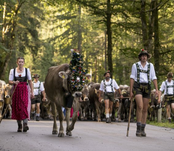 Viehscheid 2016
