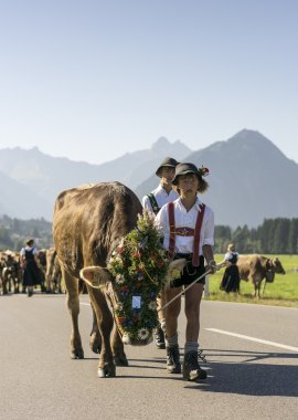 Viehscheid 2016
