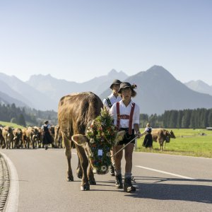Viehscheid 2016