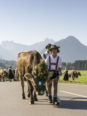 Viehscheid 2016
