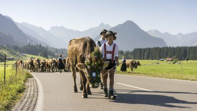 Viehscheid 2016