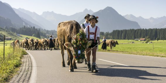 Viehscheid 2016