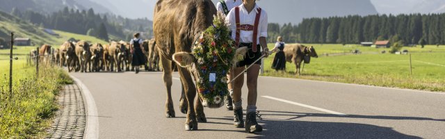 Viehscheid 2016