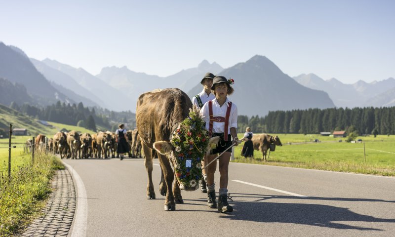 Viehscheid 2016
